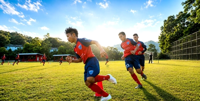 Driving Excellence In Sports content image
