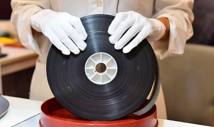 Conservation content image