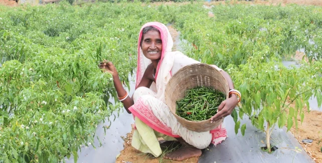 Agri Based Livelihoods content image