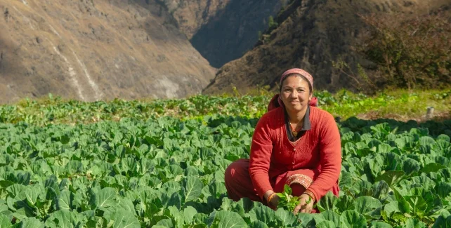 Agri Based Livelihoods content image