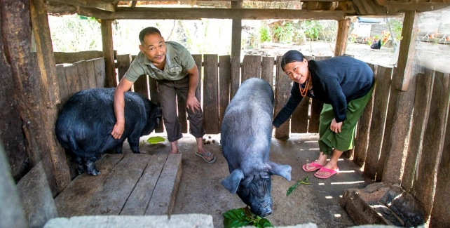 Livestock Based Livelihoods content image
