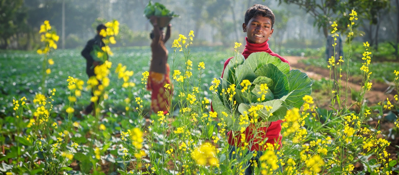 Rural Livelihood content image
