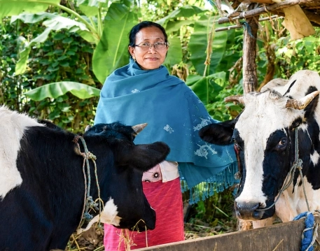 Rural Livelihood content image