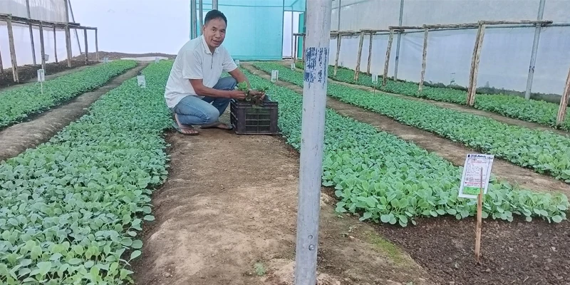 Ayenmongba showcasing his home-grown fresh produce.