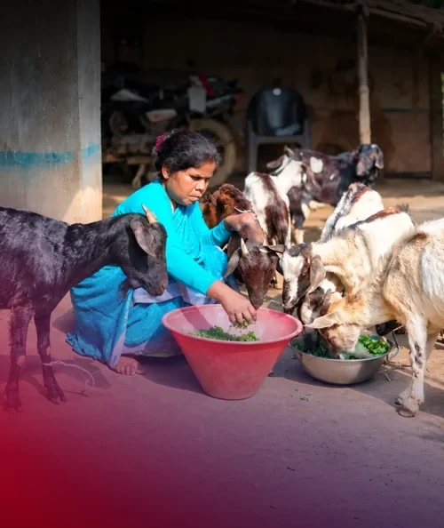 From Abandonment To Leadership