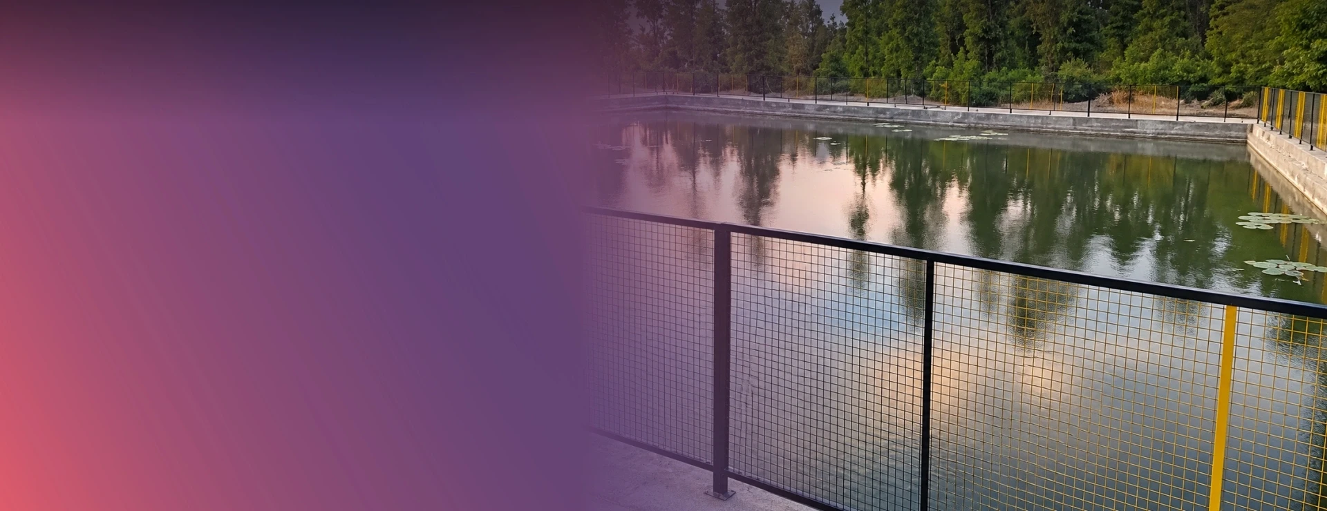 Dayarani Lake Reclaims Its Water