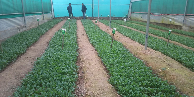 Ayenmongba's journey is an inspiration for sustainable development in Nagaland