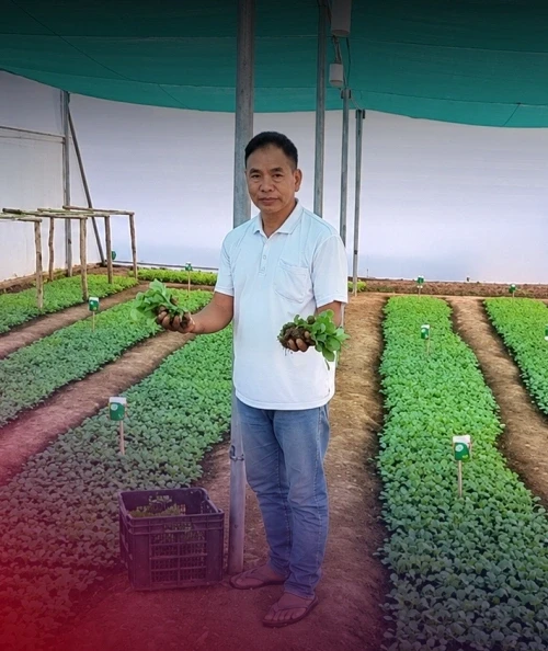 Seedlings Of Change