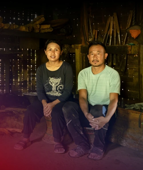 Building Livelihoods Through Better Piggery Systems