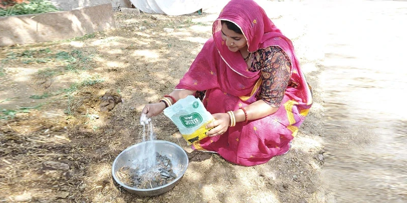 The Asha MPC in Rajyawas village in Rajasthan has educated marginal dairy farmers like Sarita Kunwar to improve their hygiene and care practices.