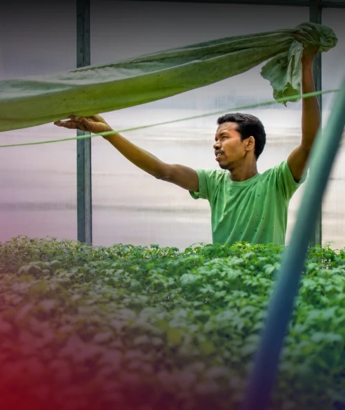 Seeding Change In Nagri's Farming Landscape: Rajendra Tudu's Story