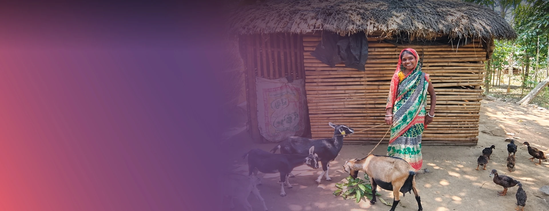 Cultivating Secure Futures In Remote Jharkhand
