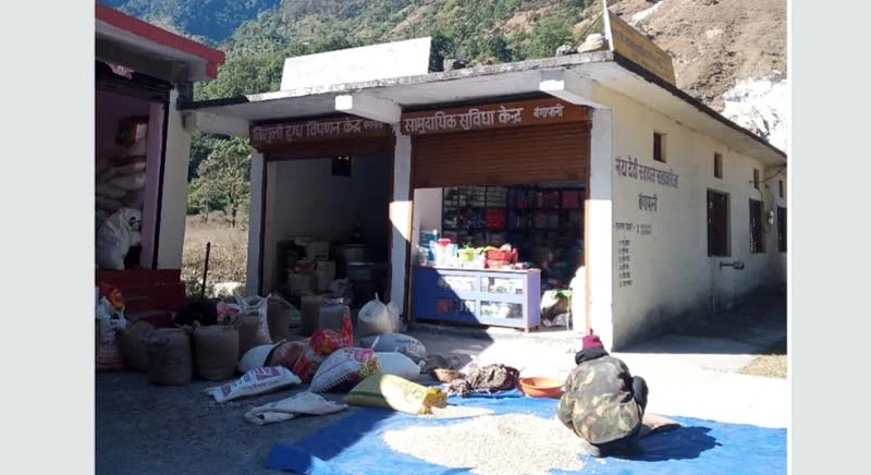 Munsyari rajma collected at SRC Nanda Devi in Bangapani village, Munsyari.