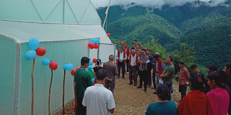 Assistant Horticulture Officer (AHO) Tuensang, Shri. Yonkonglimba launching the polyhouse unit at Chendang village, Tuensang