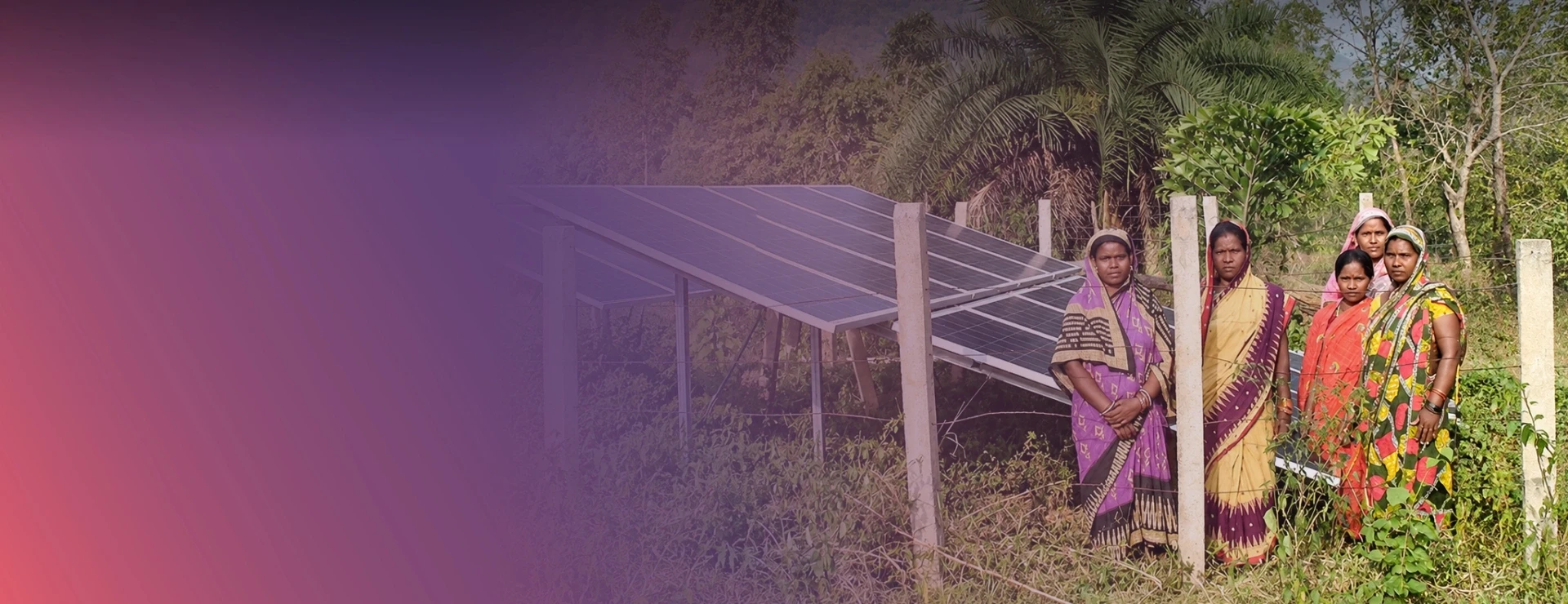 A Sunny Solution To Water Woes