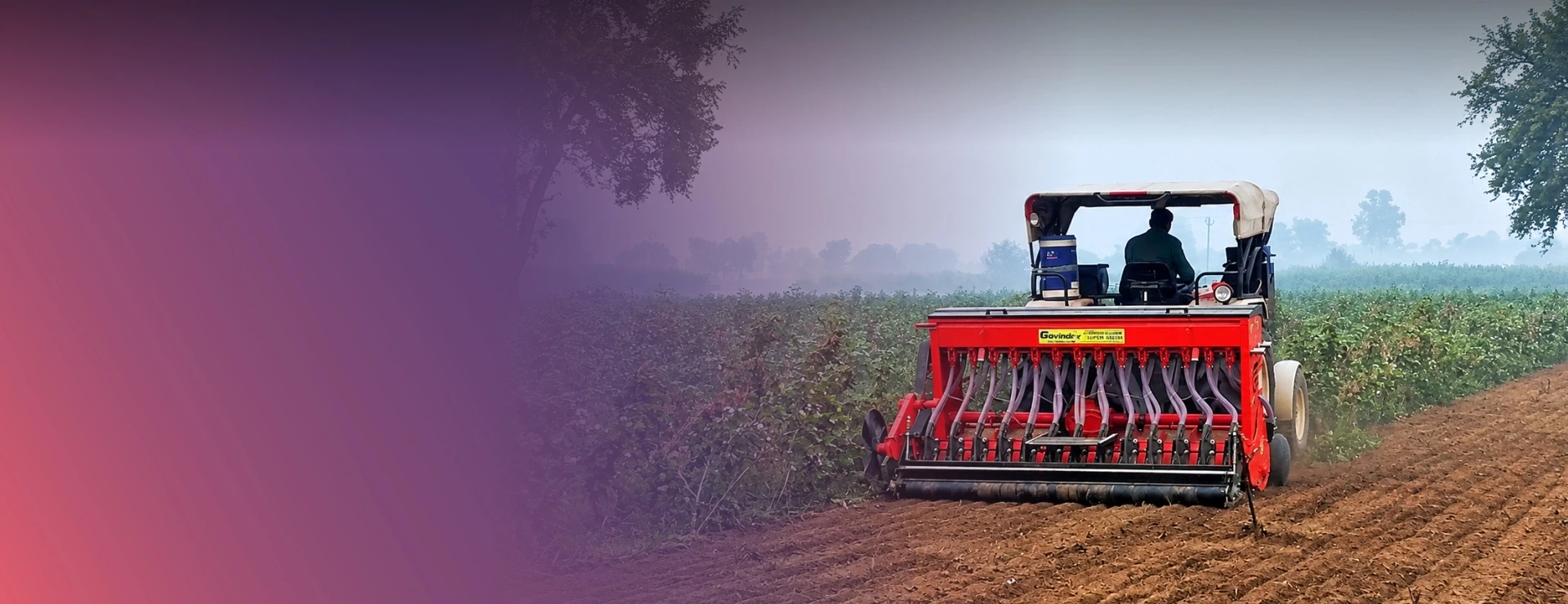 An Eco-Friendly Way To Safeguard Our Cotton