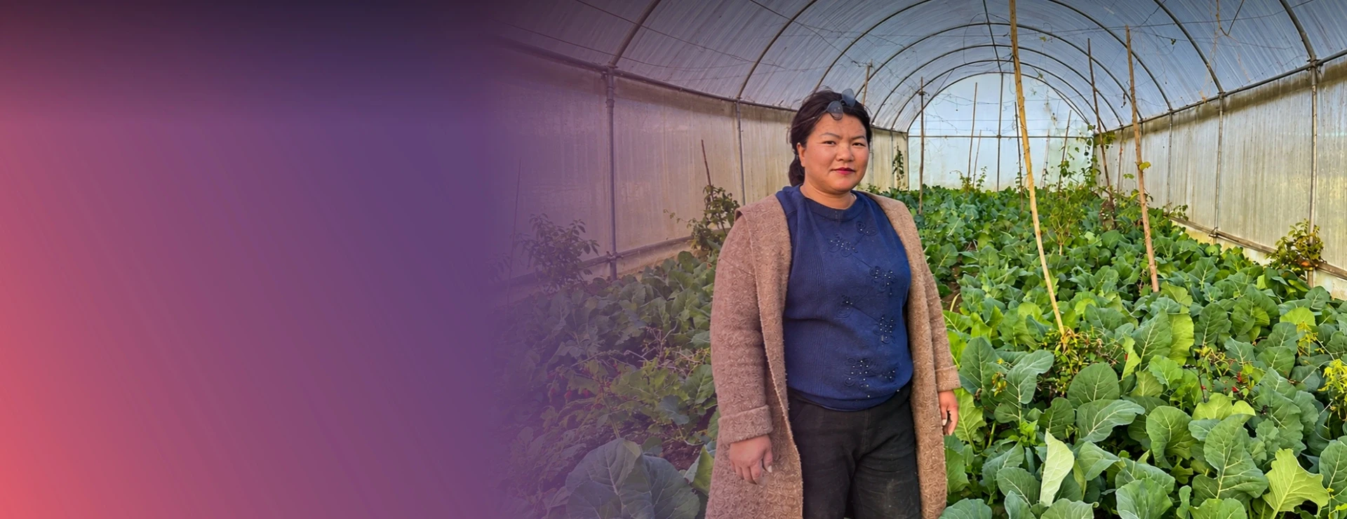 From Fallow Fields To Flourishing Farms